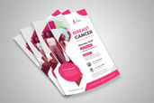 Preview2 Flyer 105