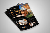 Preview2 Flyer 164