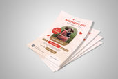 Preview1 Flyer 13