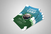 Preview1 Flyer 29
