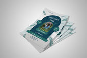 Preview1 Flyer 6