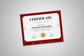 Preview Certificate B 1