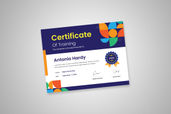 Preview Certificate B 10