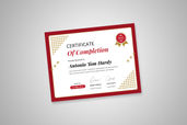 Preview Certificate B 18