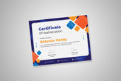 Preview Certificate B