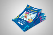 Preview1 Flyer 10