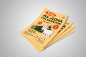 Preview1 Flyer 2