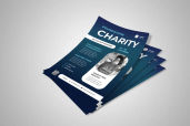 Preview1 Flyer 109jpg