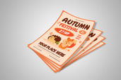 Preview1 Flyer 109