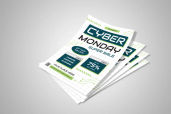 Preview1 Flyer 11jpg 2