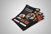 Preview1 Flyer 11