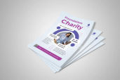 Preview1 Flyer 110jpg