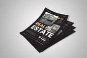 Preview1 Flyer 111