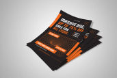 Preview1 Flyer 114jpg