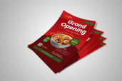 Preview1 Flyer 124jpg