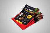 Preview1 Flyer 127jpg