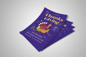 Preview1 Flyer 13jpg