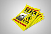 Preview1 Flyer 133