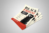 Preview1 Flyer 135
