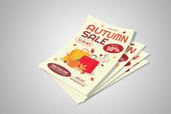 Preview1 Flyer 147