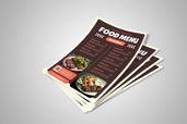 Preview1 Flyer 28