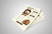 Preview1 Flyer 29