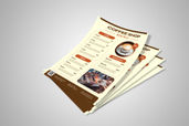 Preview1 Flyer 30