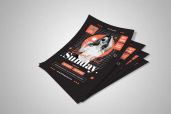 Preview1 Flyer 37jpg 1