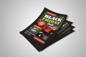 Preview1 Flyer 43jpg
