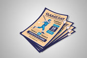 Preview1 Flyer 75