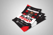 Preview1 Flyer 8jpg 2