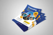Preview1 Flyer 80jpg
