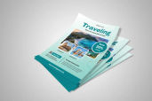 Preview1 Flyer 81jpg