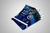 Preview1 Flyer 94jpg
