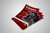 Preview1 Flyer 95jpg