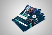 Preview1 Flyer 96jpg