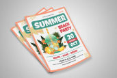 Preview2 Flyer 102jpg