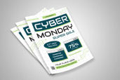 Preview2 Flyer 11jpg 2