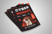 Preview2 Flyer 13jpg 2