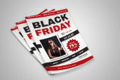 Preview2 Flyer 3jpg 2