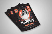 Preview2 Flyer 37jpg 1