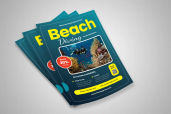Preview2 Flyer 65jpg