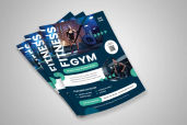 Preview2 Flyer 96jpg