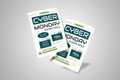Preview3 Flyer 11jpg 2