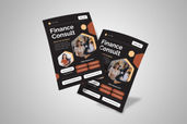 Preview3 Flyer 11