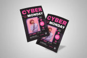 Preview3 Flyer 15jpg 2