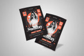 Preview3 Flyer 37jpg 1
