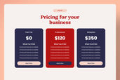 Supporting Preview Image Saas 006 02