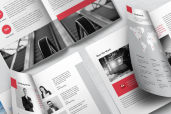 Annual Report 2png