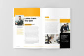 Annual Report Business Creative 19jpg
